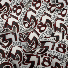 518 Martial Arts Membership